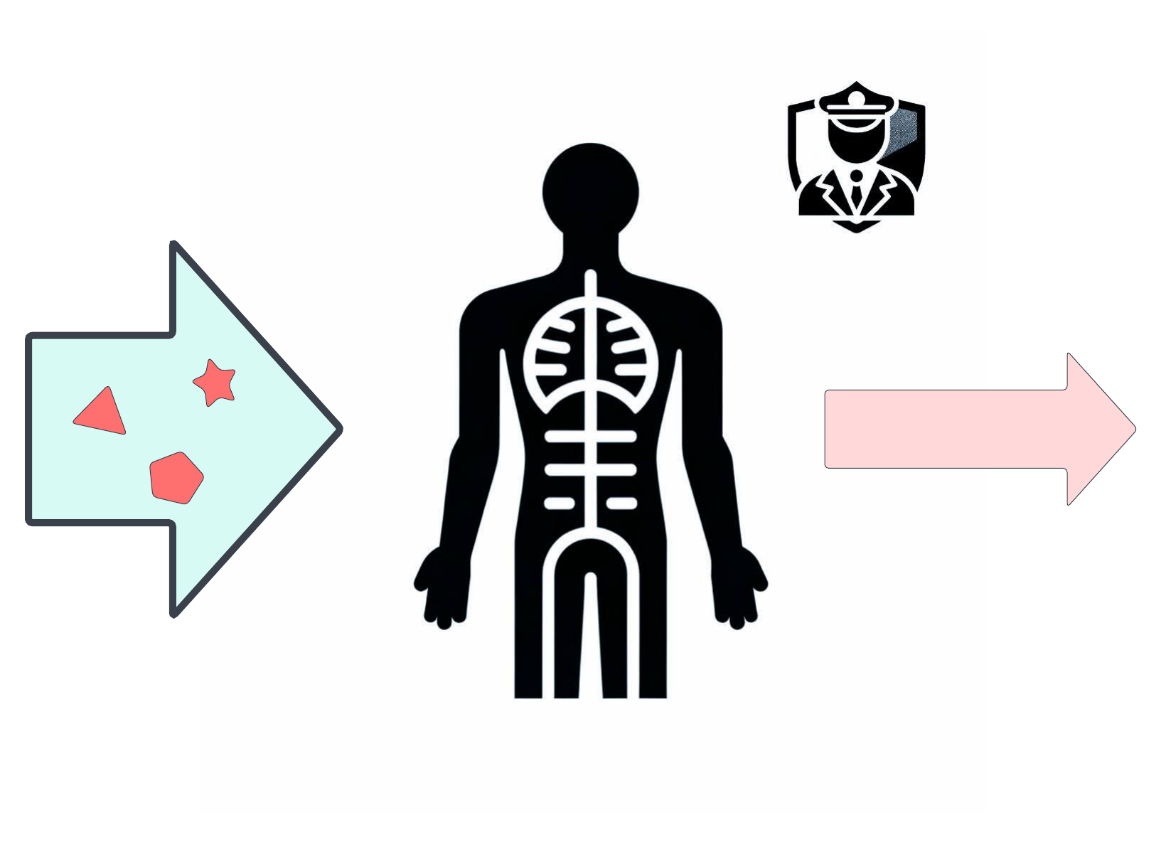 Stewardship for Physiology